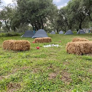 https://ikas-camping.albaniahotels.org